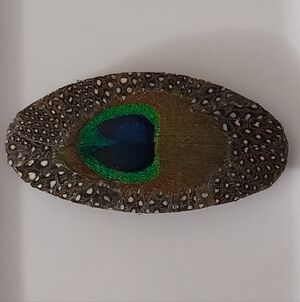 Vintage Peacock French Hair Clip Barette Feathers Natural Big Estate Euc 80's